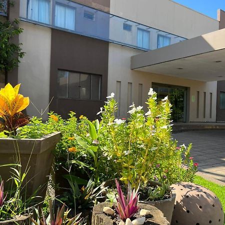 Maximus Business Hotel Ji-Paraná Eksteriør billede